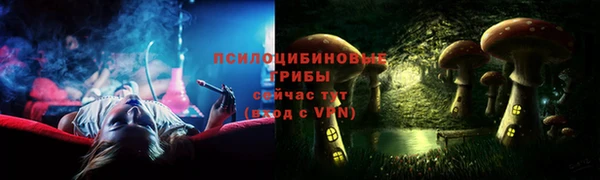 прущие крисы Медвежьегорск