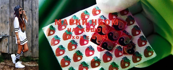 СК Алагир