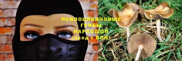 стафф Мегион